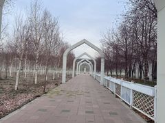-新疆大剧院