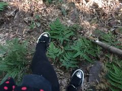 -长兴慧子土特产茶行