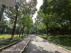 -重庆彩云湖湿地公园