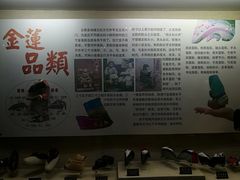 -天津华夏鞋文化博物馆