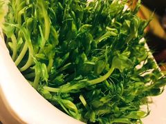 青青活体豌豆苗-海底捞火锅(亲子主题北金鹰店)