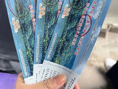-秦岭终南山世界地质公园翠华山景区