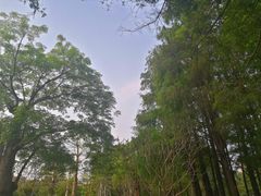 -四海公园(南山区)