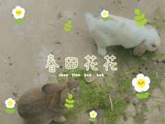 -厦门园林博览苑