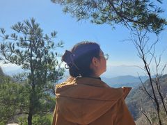 -王顺山国家森林公园