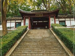 -上海佘山国家森林公园天马山园