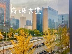 -合景·悠方(成都店)