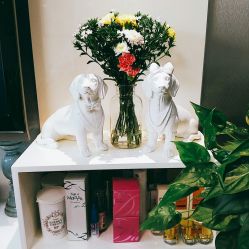 -健·造型KEN'S HAIR美发沙龙