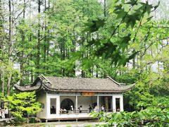 -杭州植物园