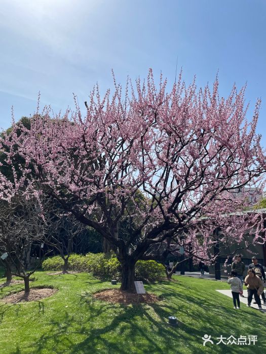 静安雕塑公园图片