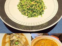 -老吉堂上海本帮菜(工体店)
