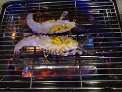 -质烤烤物·活烤海鲜(质烤总店)