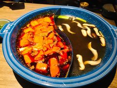 重庆红油经典鸳鸯锅-王歘歘·chuǎ火锅(五道营店)
