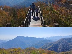-大岭沟猕猴桃谷风景区