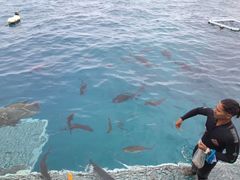 -亚龙湾老厨房·海南家常味