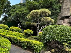 -水围村