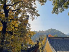 -灵隐飞来峰景区