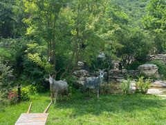-幽岚山·童话森林