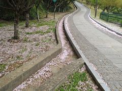 -幕燕滨江·长江观音景区