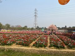 -盈香心动乐园