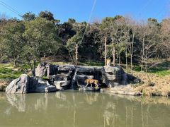 -宁波野生动物园