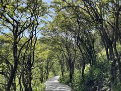 -大围山国家森林公园
