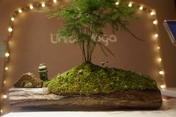 -Union瑜伽健康管理中心