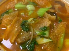 皮肚青菜面-项记面馆(明瓦廊店)