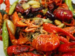 -爱乐蒙艺术·古筝 钢琴 声乐(科华校区)