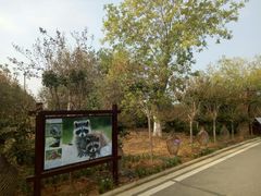 景点-武汉紫薇都市田园