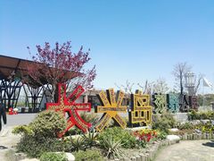 -上海长兴岛郊野公园