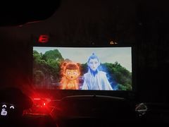 -枫花园汽车电影院(朝阳公园店)