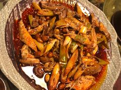 -青城甲(青城山店)