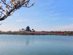 -上海海湾国家森林公园