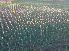 -长春公园(普阳街道)