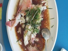 清蒸花斑鲈-旺富东海大酒楼(海鲜街店)
