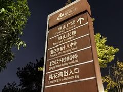 -铁山坪森林公园