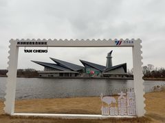 -盐城丹顶鹤湿地生态旅游区