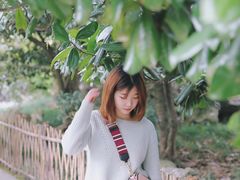 -西湖外事游船(花港观鱼码头)