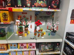 -乐高授权专卖店(中关村领展店)