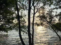 -宝安西湾红树林湿地公园