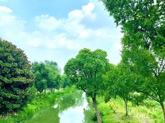 -嘉北郊野公园
