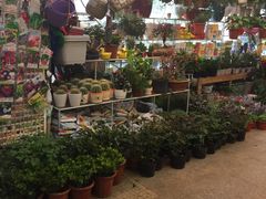 -双季花艺园艺市场(浦东店)