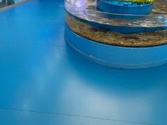 -苏州海洋馆