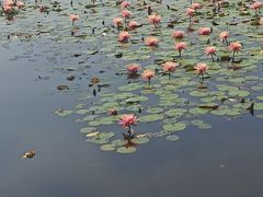 -厦门海湾公园游乐场