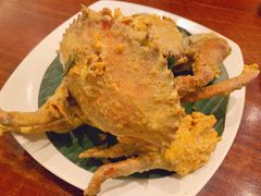 -Cabe Ijo
