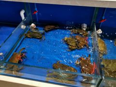 -姜君·千岛湖鱼头馆(浦东大道店)