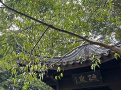 -南山风景名胜区