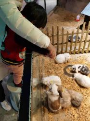 -酷嗒动物文化乐园(cutezoo西溪乐天城店)