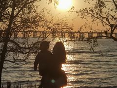 -宝安西湾红树林湿地公园